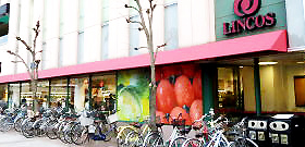 リンコス ベイタウン店